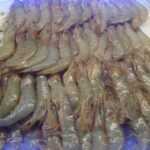 La Próxima Imagen Del Producto